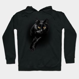 Black Cat Yellow Eyes Cats Hoodie